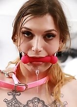 Cassidy Quinn Tied Up With River Enza